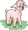 Mouton et rituel!