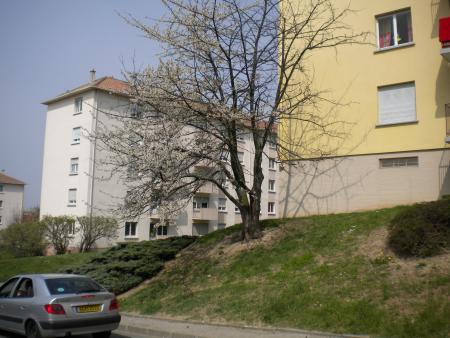 appart riedisheim