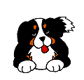 Votre chien et vous!
