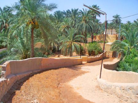 Gharda�a(Algerie)