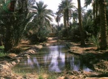 Adrar(Algerie)