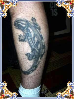 gecko