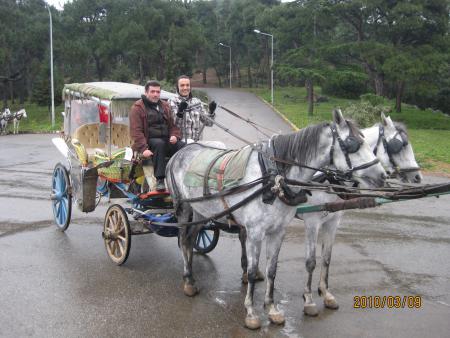 turkya