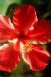 Perceptions, images, mati�res et  petits instants de vie. 