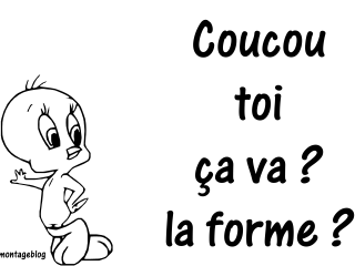 titi l'oiseau