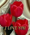 I GIVE MY FLOWER TO YOU