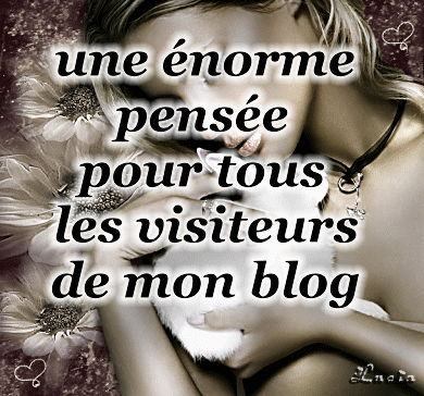une enorme pensé pour tout ce qui visiterons mon vip-blog