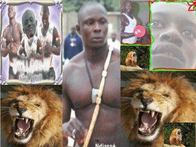 le lion