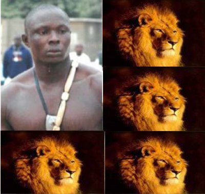 ndiasse le vrai lion