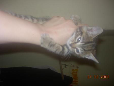 missy