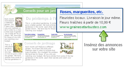 Permettre &agrave; Google Adsenseutilisation du blog