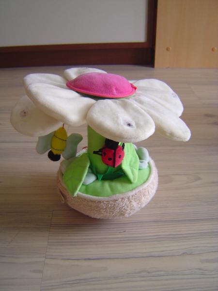 Fleur culbito - 6 �