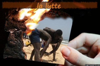 the wrestle