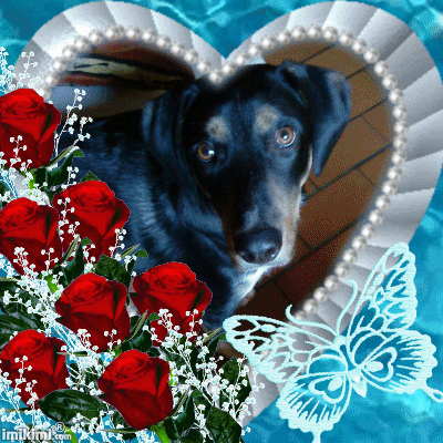 Mer&ccedil;i &agrave; mon amie magalie pour ce beau montage