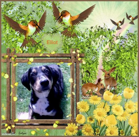Mer�i � mon amie Evelyne pour ce magnifique montage...