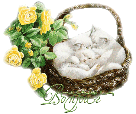 Bonne fin de semaine...