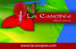 La Canop�e, le blog