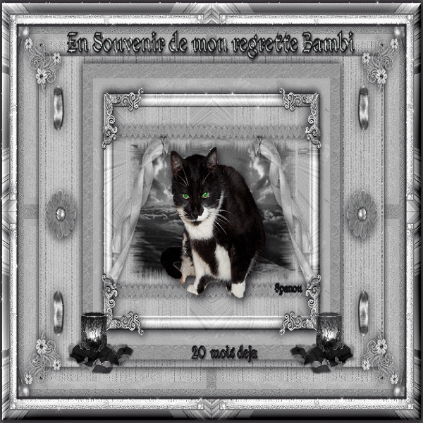 20 mois deja bambi