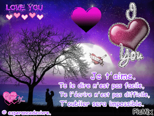 Je t'aime...