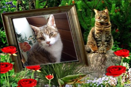 Pour l'adorable joli Aura &agrave; mon amie Chantal.