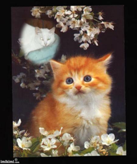 Cadeau pour mon adorable jolie douce Bianca.