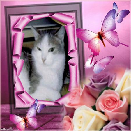 Cadeau pour mon adorable jolie douce Scarlett.