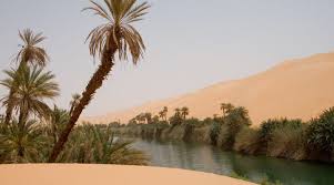 PAYSAGE DE TAMANRASSET (2)