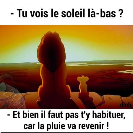 Oui