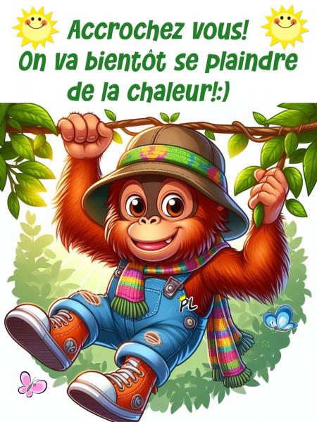 Vrai