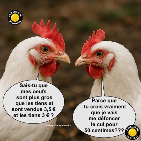 Poules