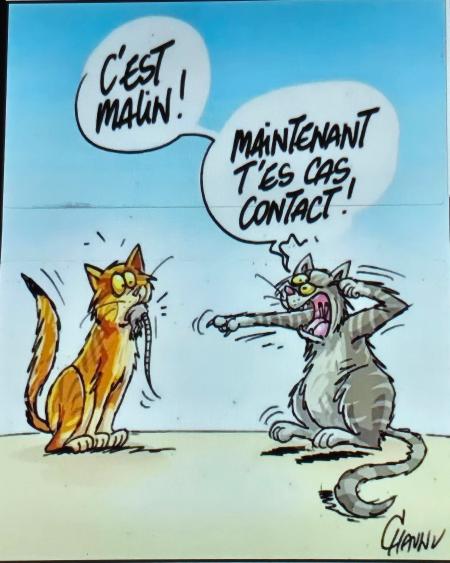 Chat