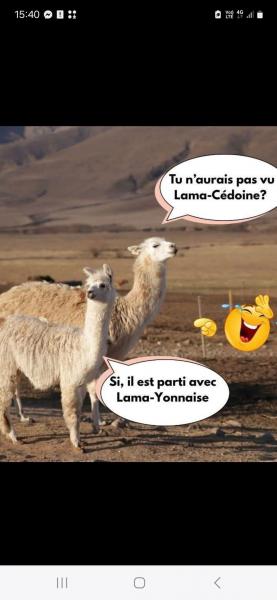 Oups