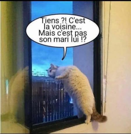 Dis donc 
