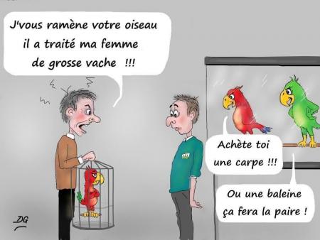 Oups