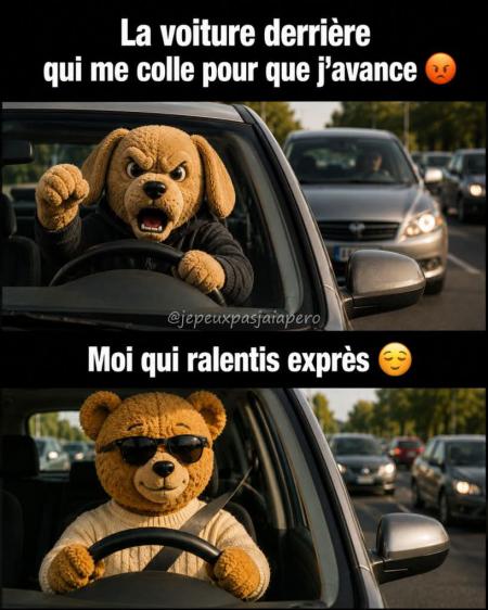 Mes fils
