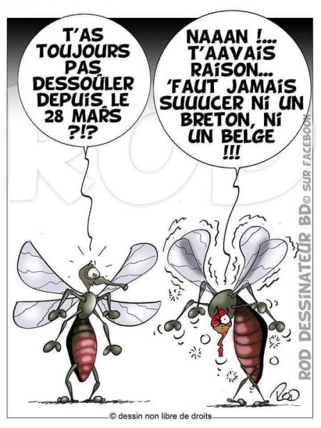 Oups