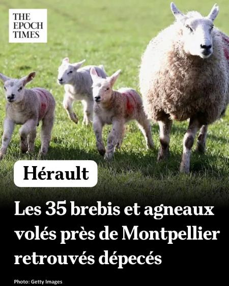 Les pauvres