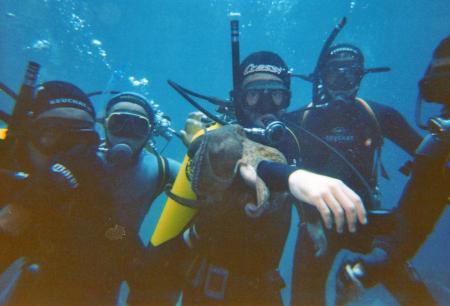 Mes amis et moi