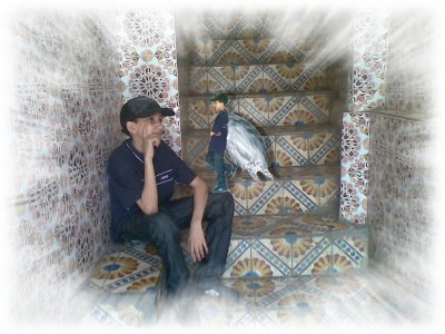 moi et mon avis