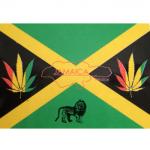 LES VIP DES ANTILLES