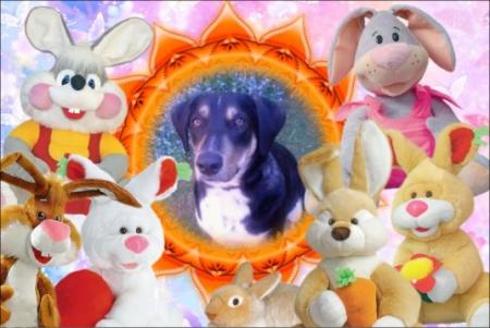 Mer&ccedil;i &agrave; mon amie martine pour cet adorable montage