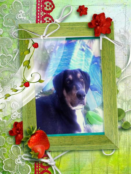 Mer&ccedil;i &agrave; son adorable marraine pour ce magnifique montage