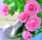 la phytoth�rapie 