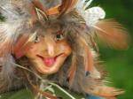 univers de sorci�res