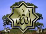 Touba Taif  Tech