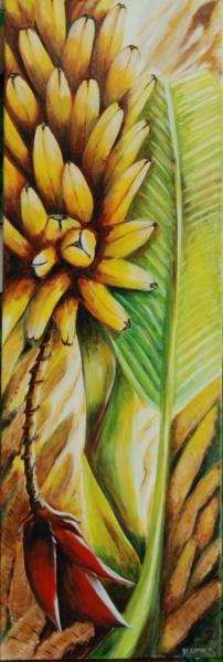 Fleur de banane 