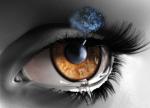 ma vie mes pens�es