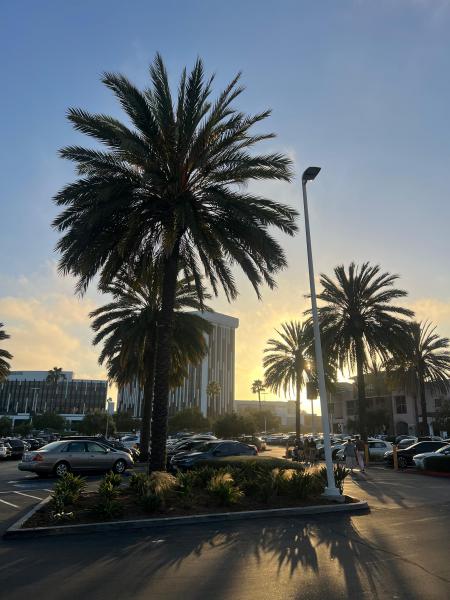 Los angeles