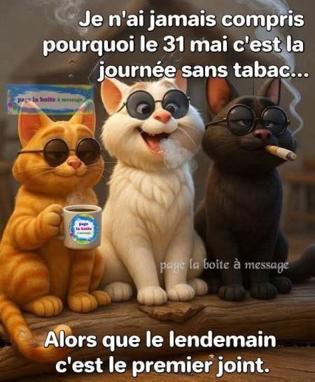 Simplette