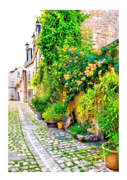 Rue fleurie